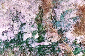 N 149C